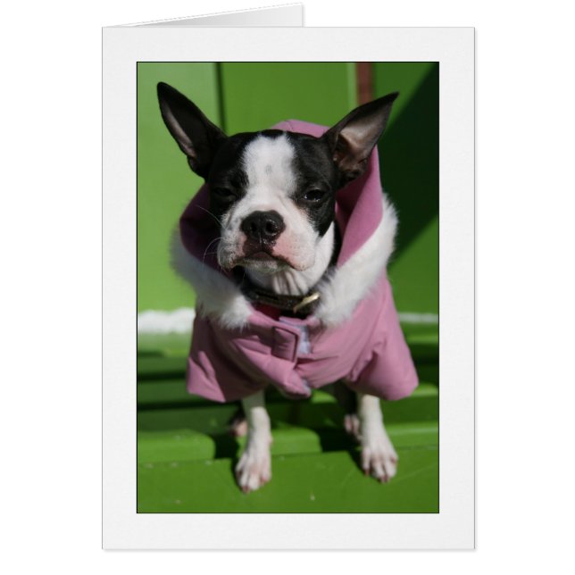 Miley en el frío (Frente)