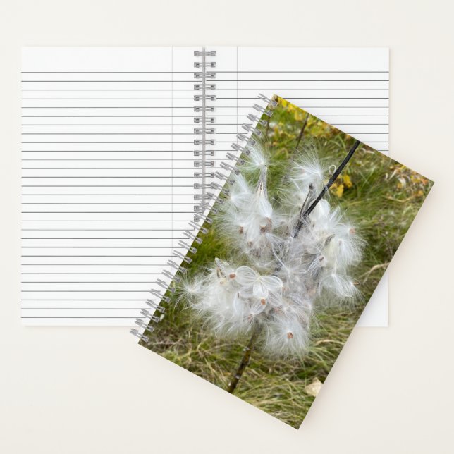 Milkweed | Mariposa | Diario (Interior)