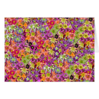 ¡Millares de Daylilies!