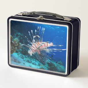 Millas de Lionfish o Pterois, peces de arrecifes o