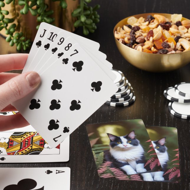 Milly El Gato Ragdoll, Cubierta De Cartas De Juego (In Situ)