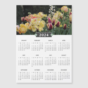 Mimán de jardín de flores amarillas del calendario