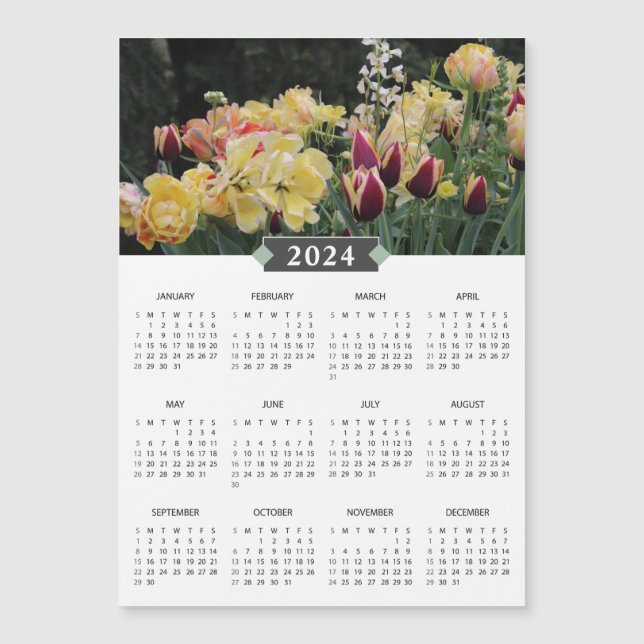 Mimán de jardín de flores amarillas del calendario (Anverso)