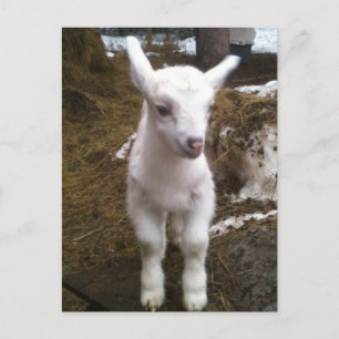 Mín. la postal de Doeling