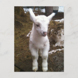 Mín. la postal de Doeling