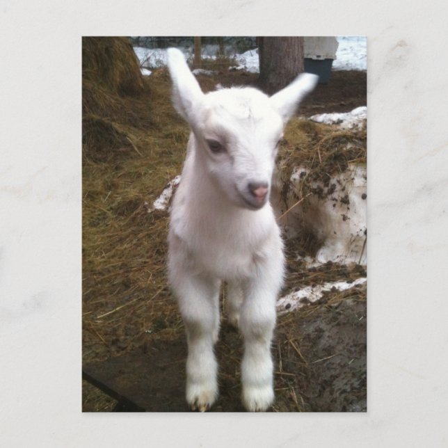 Mín. la postal de Doeling (Anverso)