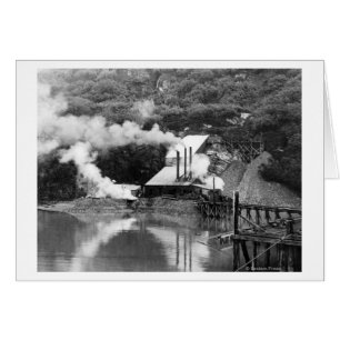 Mina de oro en Valdez, Alaska. Fotografía