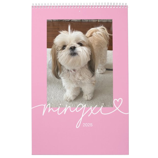 Mingxi Calendario 2025 (Tapa)