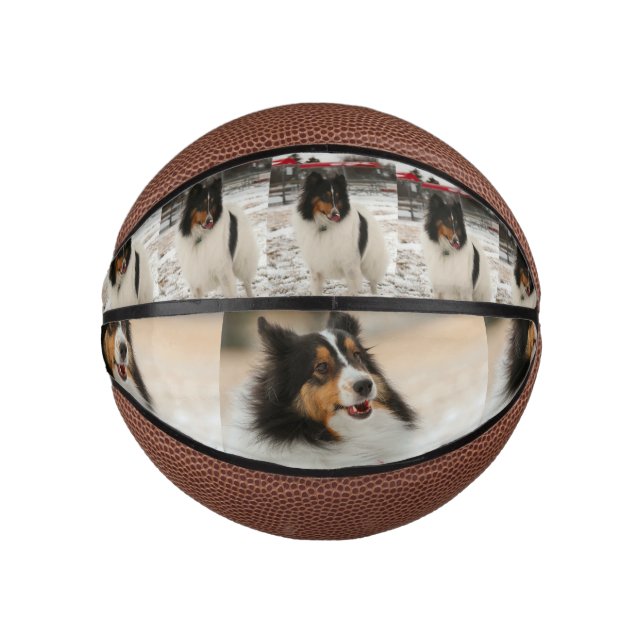Mini Balón De Baloncesto Cachorro de Shetland (Anverso)