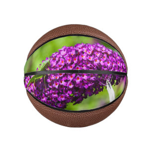 Mini Balón De Baloncesto energía katydid