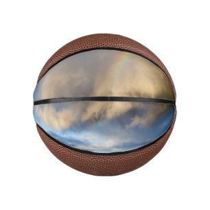 Mini Balón De Baloncesto rebelión arco iris