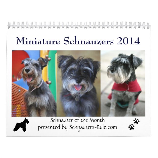 Mini calendario del Schnauzer 2016 (Tapa)