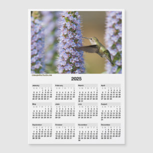 Mini Calendario magnético de Hummingbird 2025 de 5