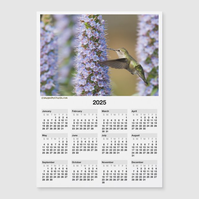 Mini Calendario magnético de Hummingbird 2025 de 5 (Anverso)