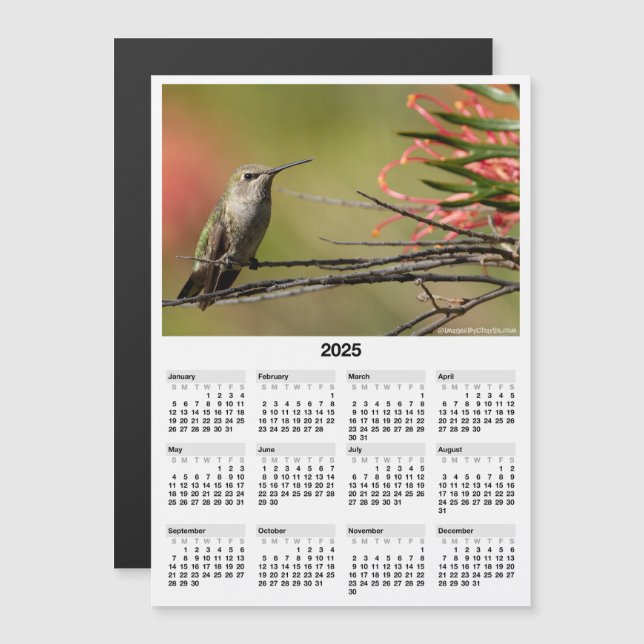 Mini Calendario magnético de Hummingbird 2025 de 5 (Anverso/Reverso)