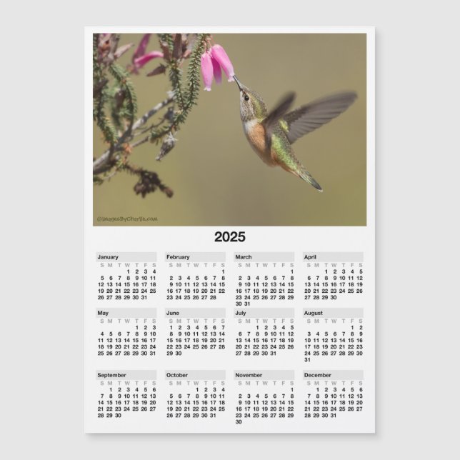 Mini Calendario magnético de Hummingbird 2025 de 5 (Anverso)