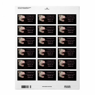 Mini etiquetas de dirección rosadas personalizada