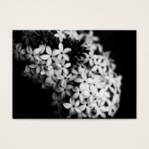 Mini florines en blanco y negro