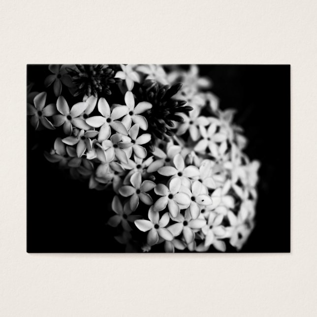 Mini florines en blanco y negro (Frente)