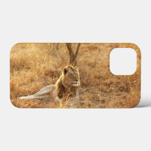 Mini Funda de Lion iPhone 13