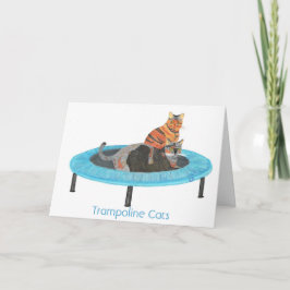 Mini gatos 2, tarjetas del trampolín de