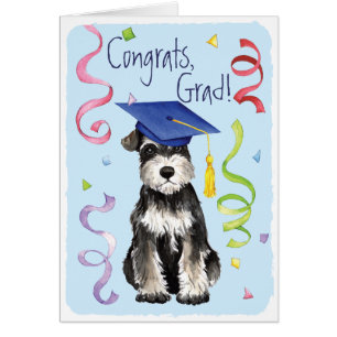 Mini graduado del Schnauzer