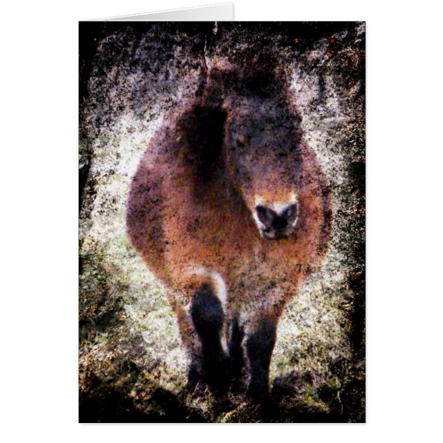 Mini Grunge de la yegua (Frente)