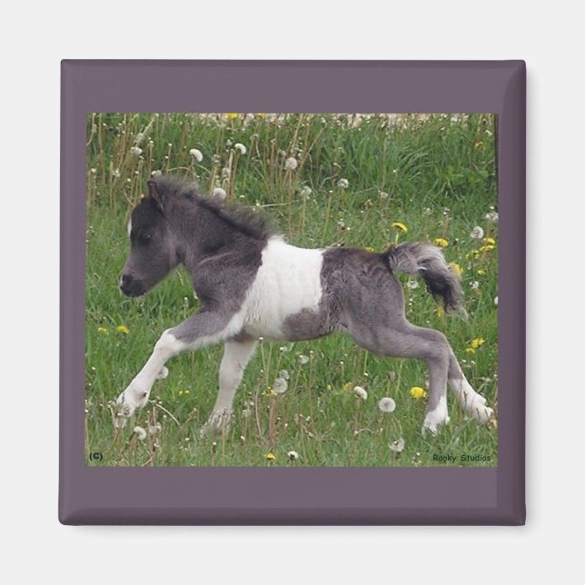 Mini imán de caballo (Frente)