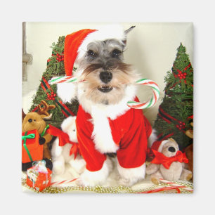 Mini imán del navidad del Schnauzer
