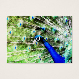 Mini impresión de Peacock
