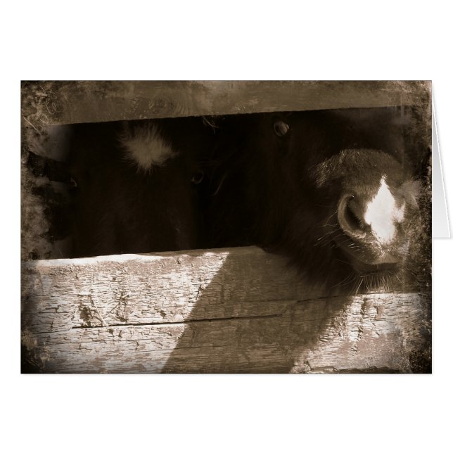 Mini nariz sobre la puerta (Anverso (Horizontal))