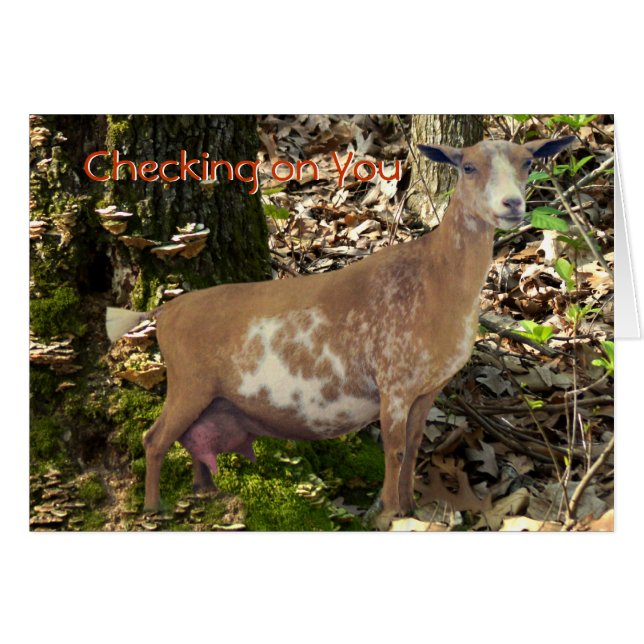 Mini personalizar de la cabra de la gama de la (Anverso (Horizontal))