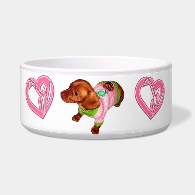 Mini plato y cuenco poderosos del Dachshund (Izquierda)