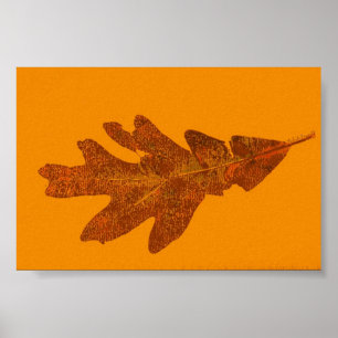 Mini Poster de impresión de la naturaleza de la ho