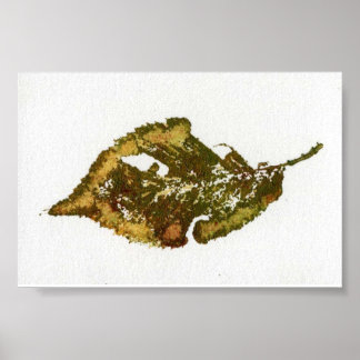Mini Poster de impresión de la naturaleza de la ho