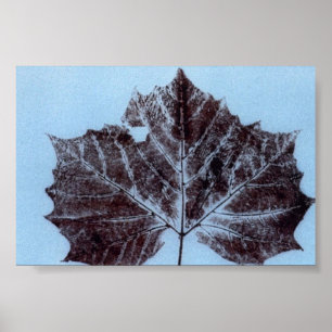 Mini Poster de impresión de la naturaleza de la ho