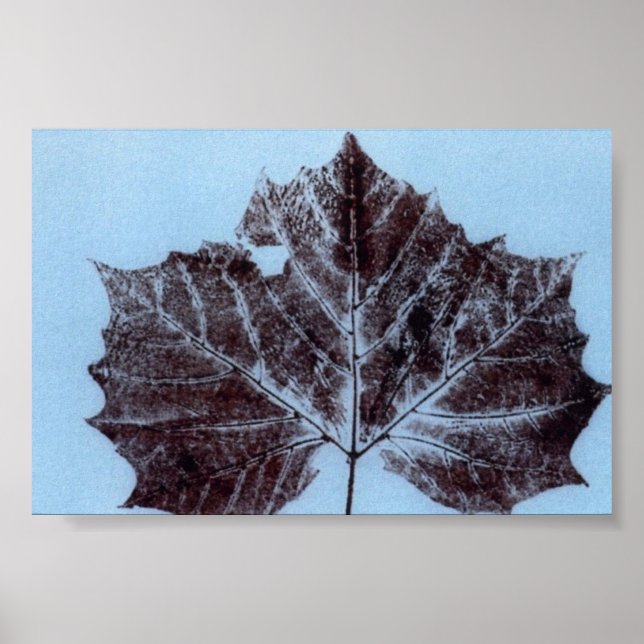 Mini Poster de impresión de la naturaleza de la ho (Frente)