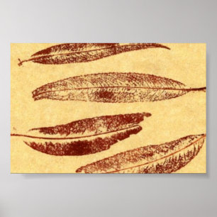 Mini Poster de impresión de la naturaleza de la ho