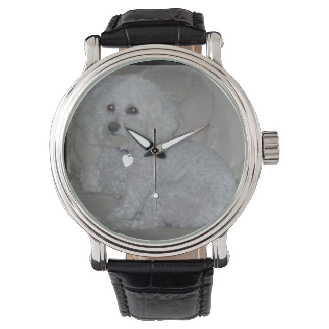 Mini reloj de pulsera de caniche blanco (Anverso)