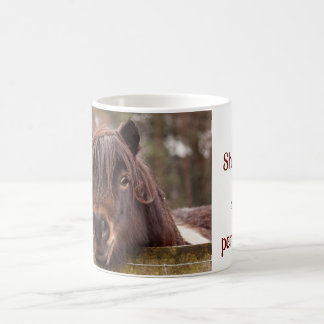 mini Shetland, enorme taza de personalidad