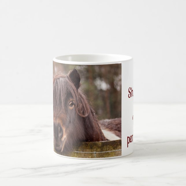 mini Shetland, enorme taza de personalidad (Centro)