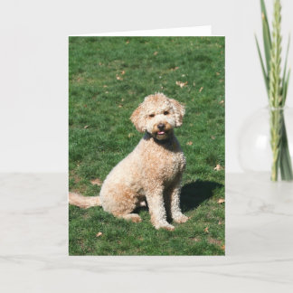 Mini tarjeta de felicitación del perrito de