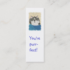 Mini tarjetas de la señal, gato del smoking