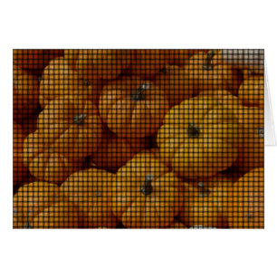 Mini Tejido de calabaza