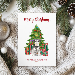 Miniature Schnauzer Navidad