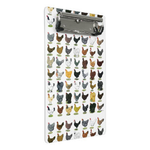 Minicarpeta De Pinza 49 gallinas