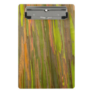 Minicarpeta De Pinza Abstracto De La Barba De Eucalipto