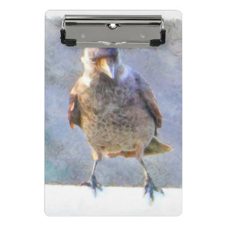 Minicarpeta De Pinza Acuarela de Jackdaw