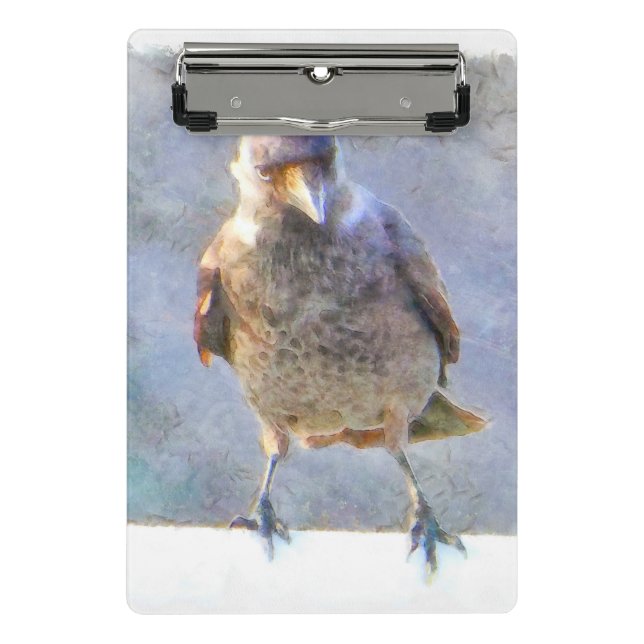 Minicarpeta De Pinza Acuarela de Jackdaw (Anverso)
