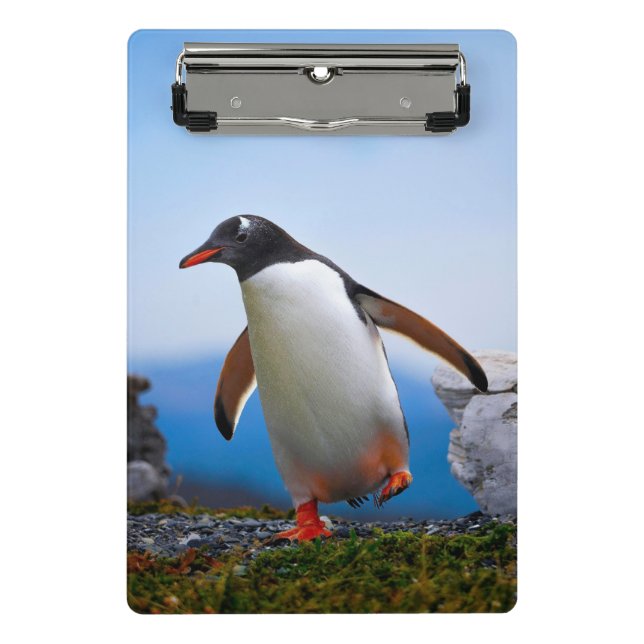 Minicarpeta De Pinza Añadir sus propios regalos de Personalizados de pl (Anverso)